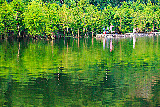 水库,湖面,水,生态