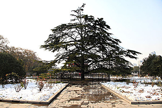 兴庆公园