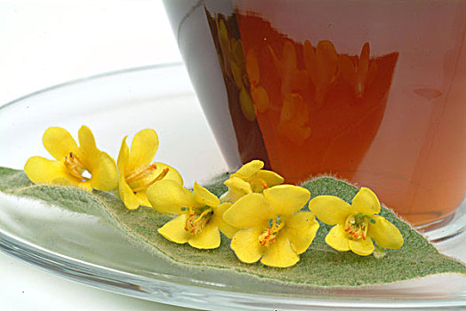 茶,叶子,花,药茶