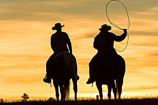 两个,牛仔,骑,骑马,草原,风景,日落,一个,晃动,套索