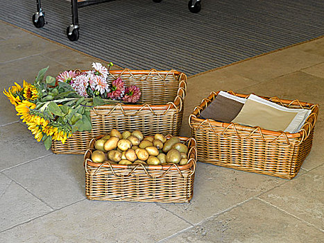 土豆,花,篮子