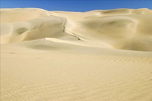 沙丘,禁止,区域,纳米比亚,非洲