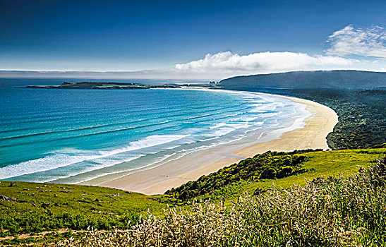 沙滩,海岸,湾,南岛,新西兰,大洋洲