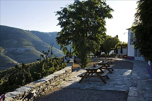 葡萄牙,山谷,住宿,不动产,北方,一个,葡萄酒,产生,奢华,和谐