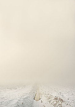 乡村道路,雪景