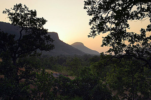 班德哈维夫国家公园,中央邦,印度