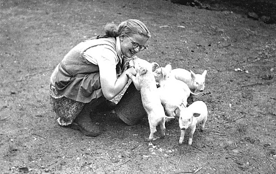 女孩,猪,20世纪50年代,精准,地点,未知,德国,欧洲
