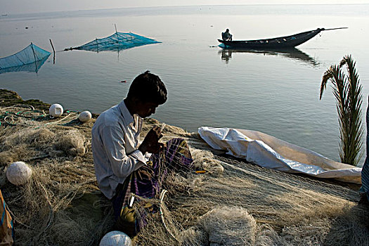 渔民,编织,网,库尔纳市,孟加拉,一月,2008年