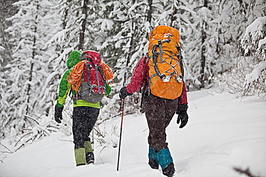 两个,女性,冰,攀登者,攀登,月光,溪流,卡纳纳斯基斯,艾伯塔省,加拿大