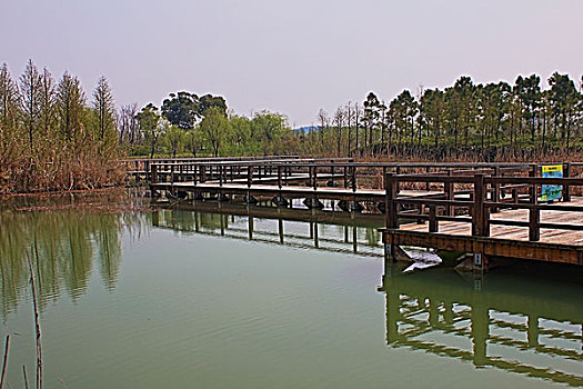 苏州太湖湿地公园风光