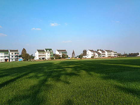 田园风光,乡野民居