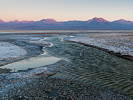 风景,盐湖,国家级保护区,佩特罗,阿塔卡马沙漠,省,安托法加斯塔大区,智利