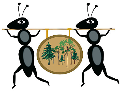 蚂蚁举起木头先活着吧图片