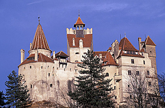欧洲,罗马尼亚,布拉索夫,区域,麸,城堡,特写,建造