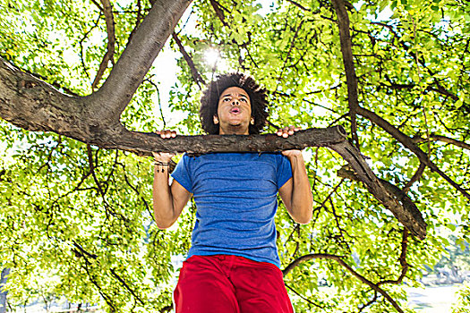 男青年,树上,公园