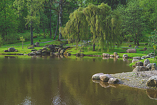 日式庭园,公园,塔林,爱沙尼亚,春天,场景