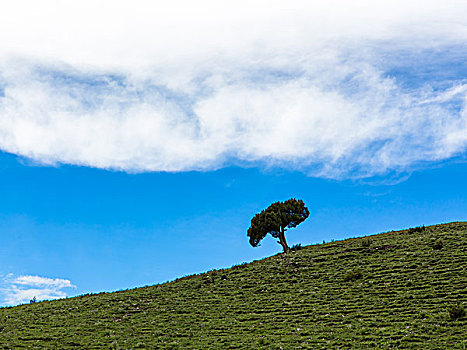 沿途风景