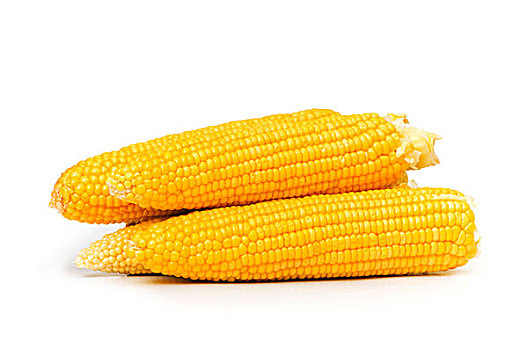 玉米棒,隔绝,白色背景