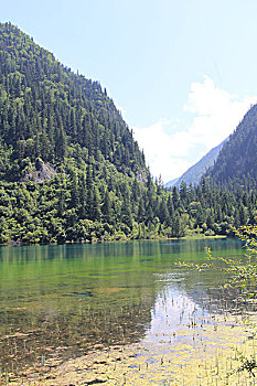 九寨沟孔雀海