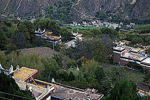 藏寨农村
