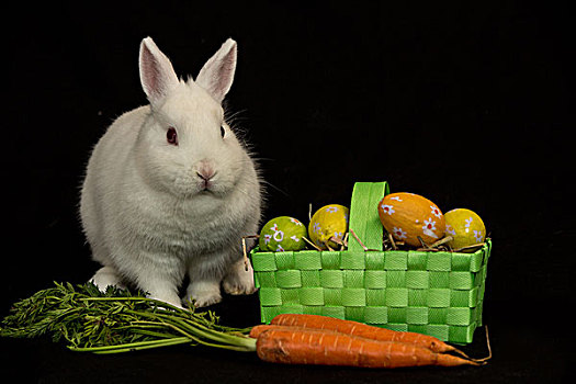 复活节兔子,绿色,篮子,蛋,胡萝卜,黑色背景,背景