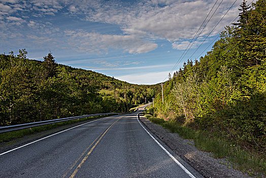 空路,树,山,小路,布雷顿角岛,新斯科舍省,加拿大