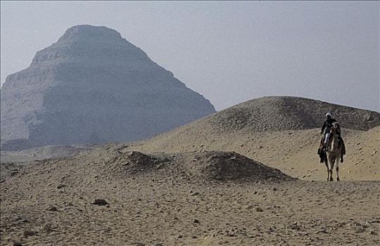 金字塔,骑骆驼,骆驼,哺乳动物,沙漠,沙丘,干燥,塞加拉,开罗,埃及,北非,世界遗产