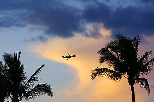 夏威夷,漂亮,云,日落,剪影,飞机