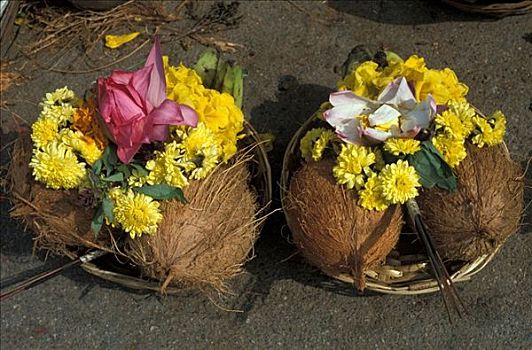 迈索尔,印度教,供品,椰子,花,香