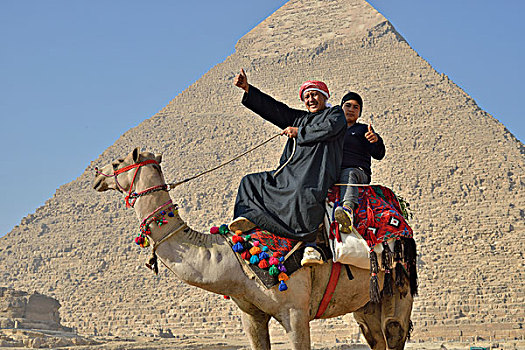 骆驼,物主,正面,切夫伦金字塔,吉萨金字塔,埃及,非洲