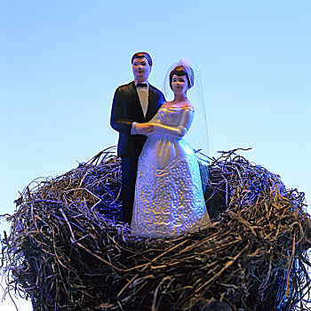 新郎,新娘,小雕像,鸟窝