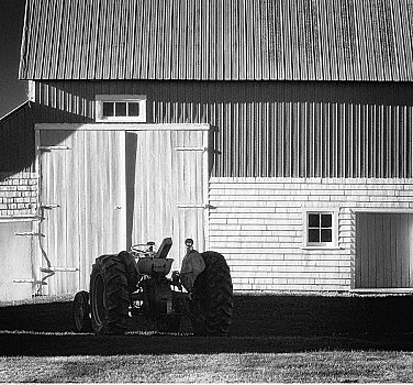 拖拉机,农场,靠近,爱德华王子岛,加拿大