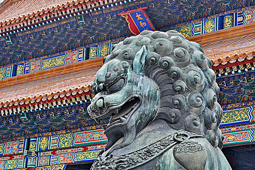 獅子,雕塑,站立,故宮,北京,皇宮,明代,清朝