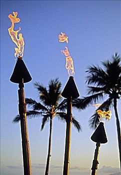 夏威夷,火炬,照亮,黄昏,棕榈树,蓝天