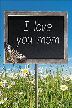黑板,文字,我爱你,妈妈