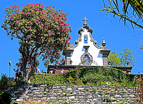小,小教堂,树,地区,蒙特卡罗,高处,城市,丰沙尔,马德拉岛,岛屿,葡萄牙