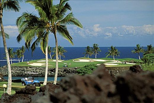 夏威夷,柯哈拉海岸,褐色,高尔夫球场,南,场地,火山岩,石头