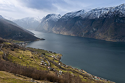 风景,枝条,地点,迟,冬天,挪威