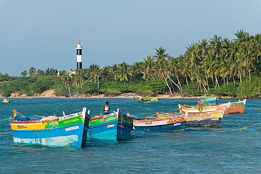 彩色,渔船,棕榈树,灯塔,背影,岛屿,泰米尔纳德邦,印度,亚洲