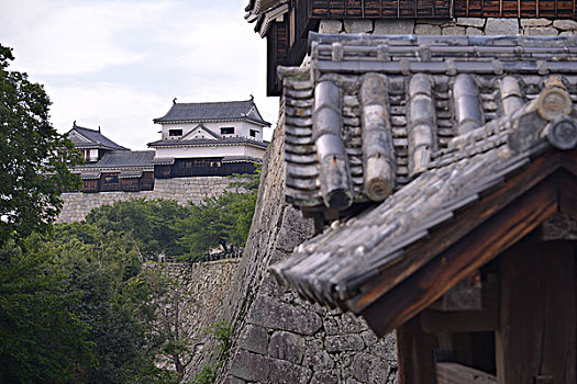 斑点,松山市,城堡,日本