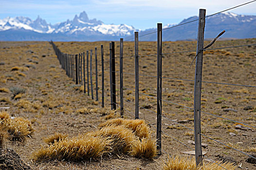 大牧场,栅栏,正面,安第斯山,巴塔哥尼亚,阿根廷,南美