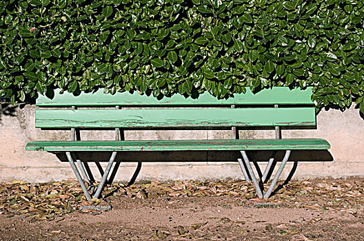 绿色,长椅,树篱