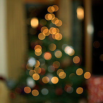 模糊,室外,关注,圣诞节,树,生活方式,房间