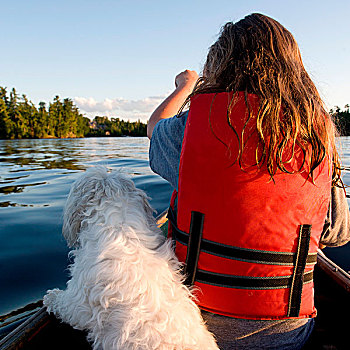 后视图,女孩,坐,船,狗,湖,木头,安大略省,加拿大