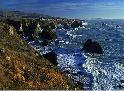 岩石海岸,加利福尼亚