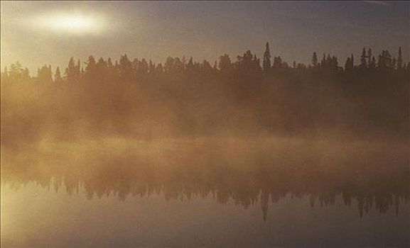 晨雾,上方,湖,瑞典,斯堪的纳维亚