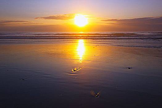 日落,上方,太平洋,海洋,俄勒冈海岸,俄勒冈,美国