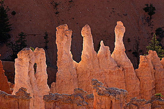 岩石构造,布莱斯峡谷国家公园,犹他,美国