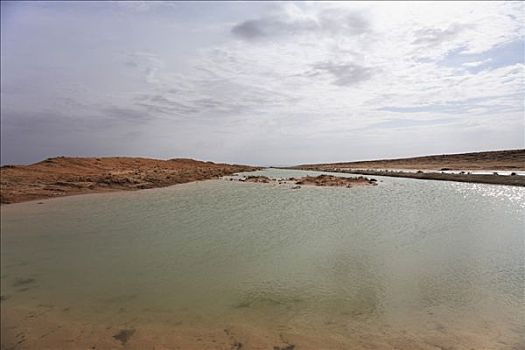 水,撒哈拉沙漠,托泽尔,突尼斯