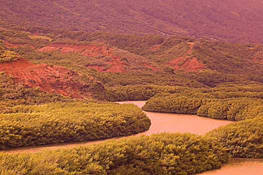 美国,夏威夷,考艾岛,国家野生动植物保护区,水塘